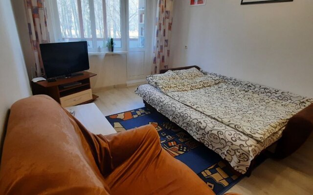 Апартаменты Svetlana