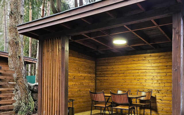 Частный дом темный А-фрейм