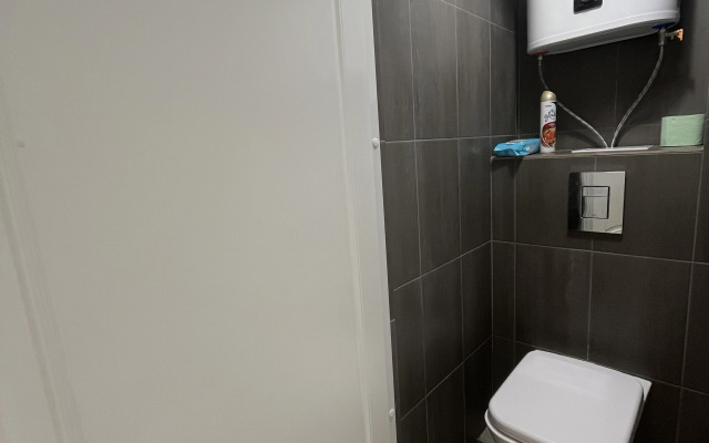 Bolshaya V Istoricheskom Tsentre Flat