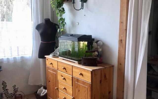 Апартаменты возле пляжа с красивым садом