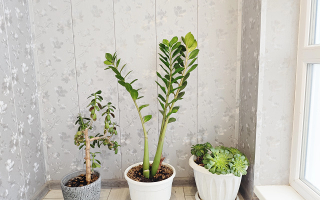 Квартира Комфортабельная в центре Белгорода