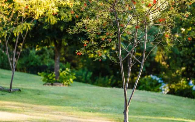 Отель Fonte Santa