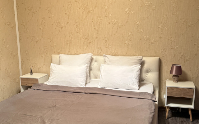 Апартаменты У Финляндского Вокзала и Крейсера Авроры"