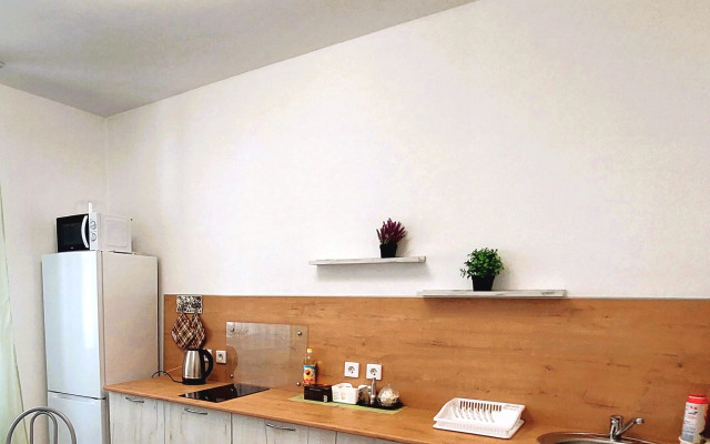 Квартира Отличная в Академическом