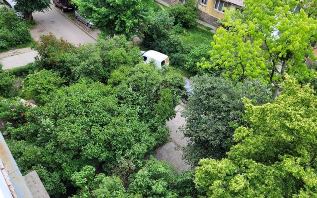 U morya v Baltiyske Flat