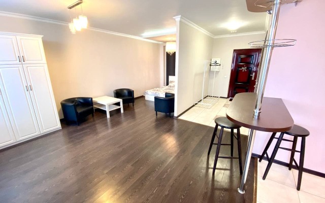 Bolshaya Studiya V Novostroe Apartments