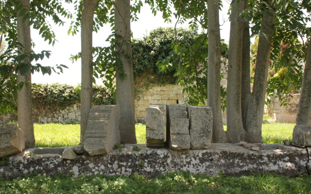 Agriturismo Il Carosello dei Baroni Farm
