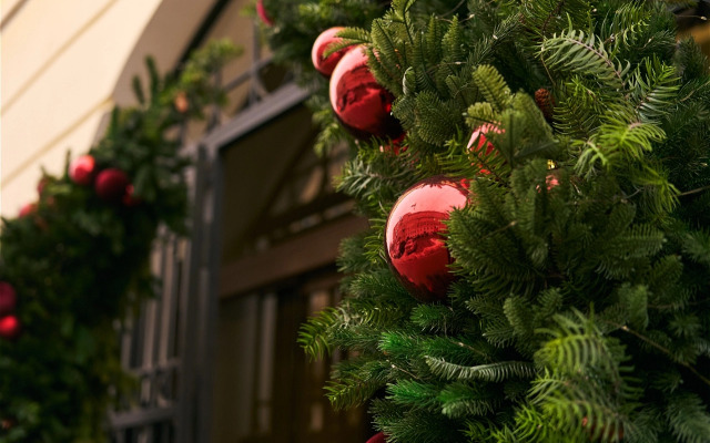 Бутик-Отель Академиа Васильевский