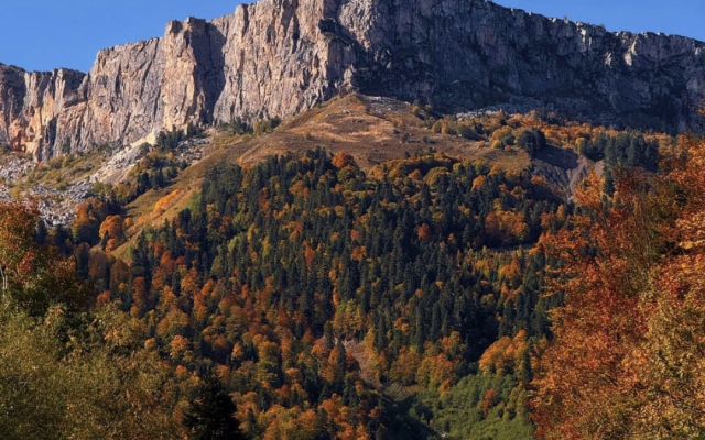 Меблированные комнаты Надежда