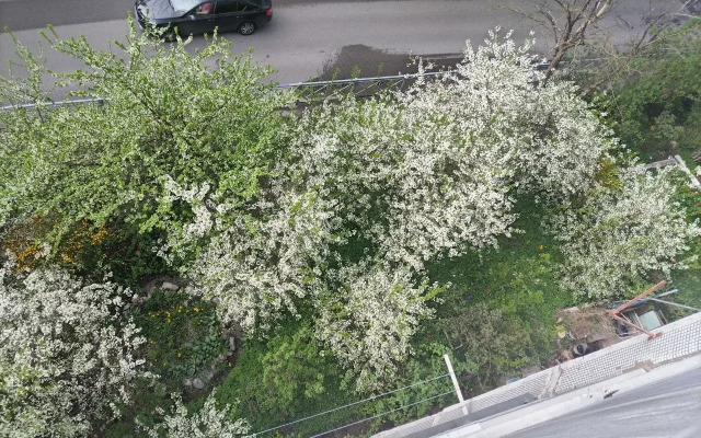 Odnokomnatnaya V 10 Minutakh  Ot  Verkhnego Ozera Flat