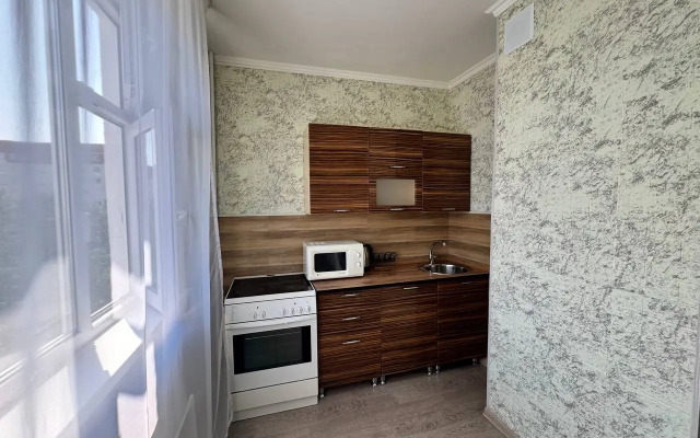 Uyutnye s Balkonom v Tsentre Goroda Apartments