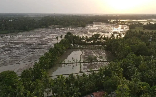 Rain Tree by Oak Ray Hotel