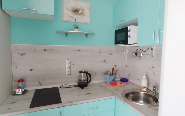 Квартира уютная на Пионерской