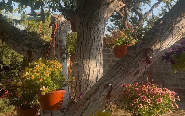 Гостевой дом Морская сказка