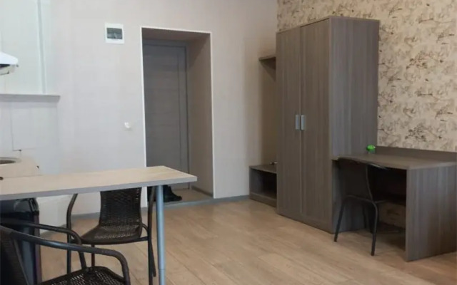 Atmosfera na Bolshom 32 Apartments (4)