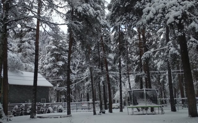 Arhyzh Forest Eco Recreation camp