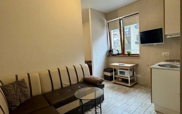 Studiya S Balkonom V Tsentre Estosadka Flat