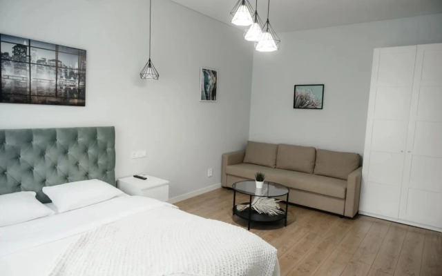 Skandi khaus klassicheskiy lyuks Apartments
