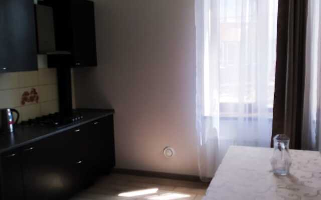 Zhemchuzhina na Gagarina Apartments