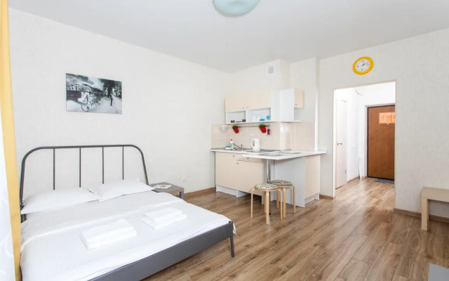 Апартаменты Домант Романова 60/1 (6)