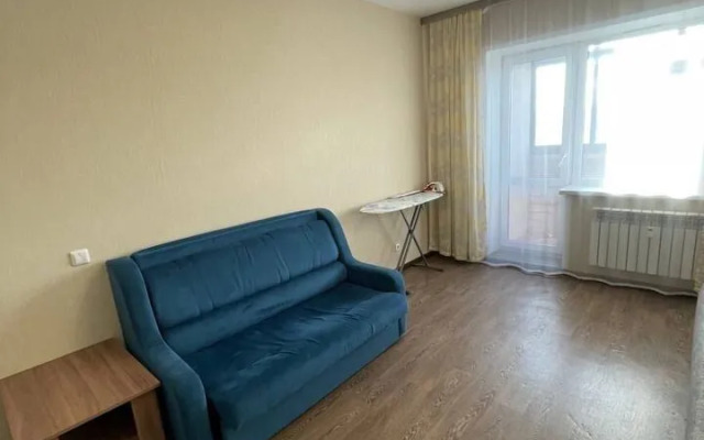 Studiya Na Lermontova 31 Flat
