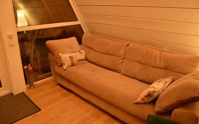 A-Frame Dubhouse Private house