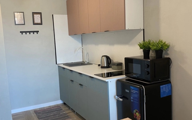 Квартира в новостройке напротив жд вокзала Ижевск ЖК Казанский