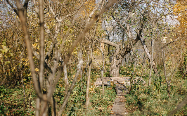 Глэмпинг Амбаркаса