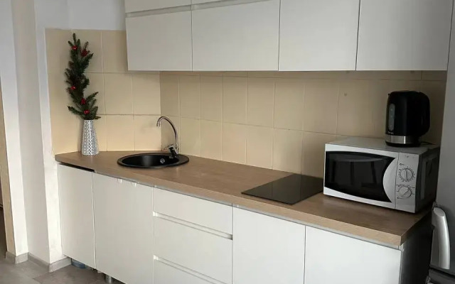Flat Odnokomnatnaya Kolpino
