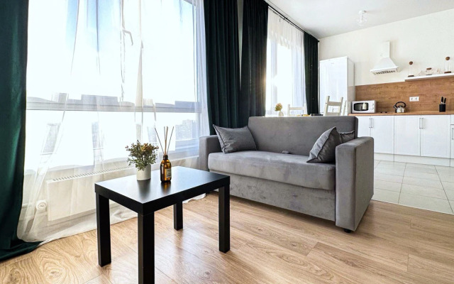 Квартира Большая студия для 4х гостей в Гости