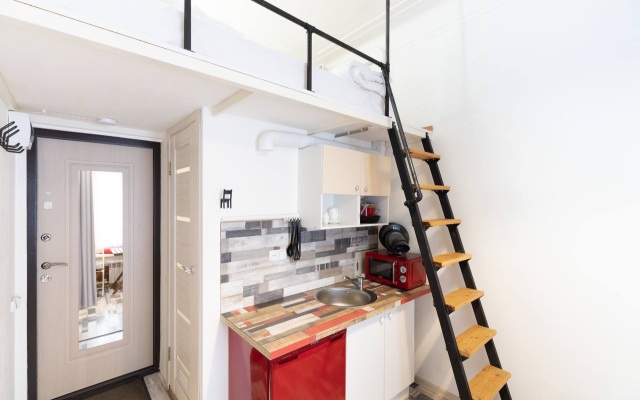 Апартаменты Лебедев Лофт на Невском 88 (4)