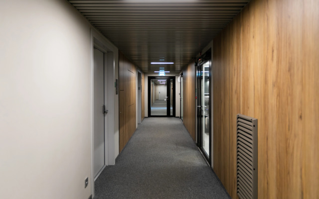 Abrikosovoye Derevo Na Kievskoy Apartment