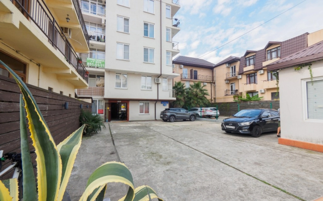 Semeynaya Studiya V Kurortnom Gorodke Flat