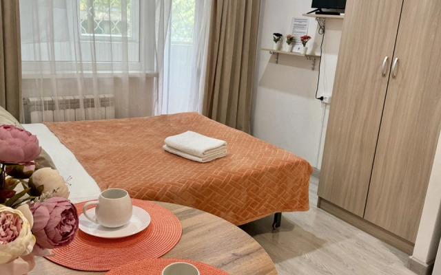 Апартаменты - Студия №3