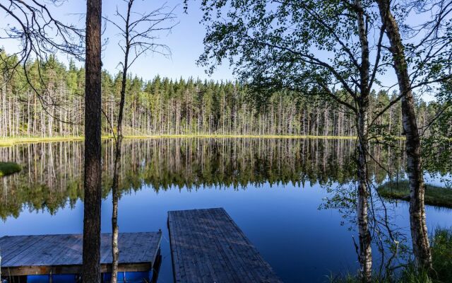 Глэмпинг Forest Lake