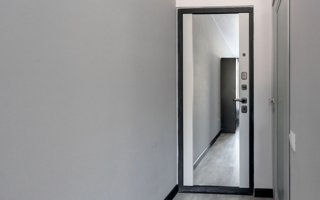 Studiya Na P. Romanova Apartments