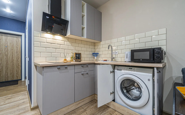 Studiya U M. Pionerskaya Tsentr Im. Almazova Flat