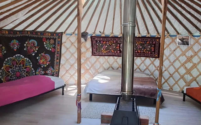 Кэмпинг Золотая юрта