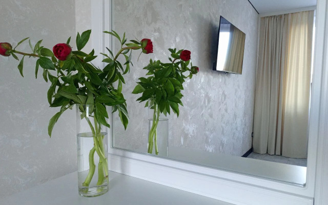 Sutki Rent V Mineralnykh Vodakh Flat