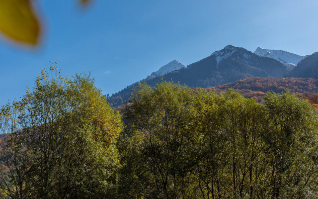 Квартира в Красной Поляне
