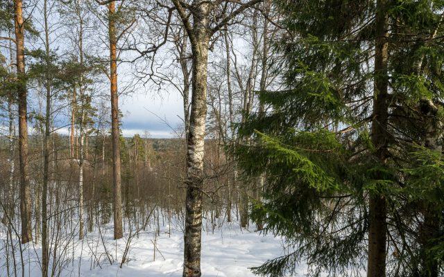 Lesnoy Voskhod Chalet
