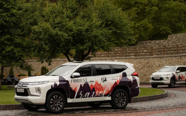 Отель Forrest Terrace