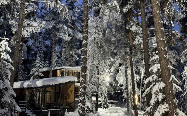 Частный дом 3 ПроЛес