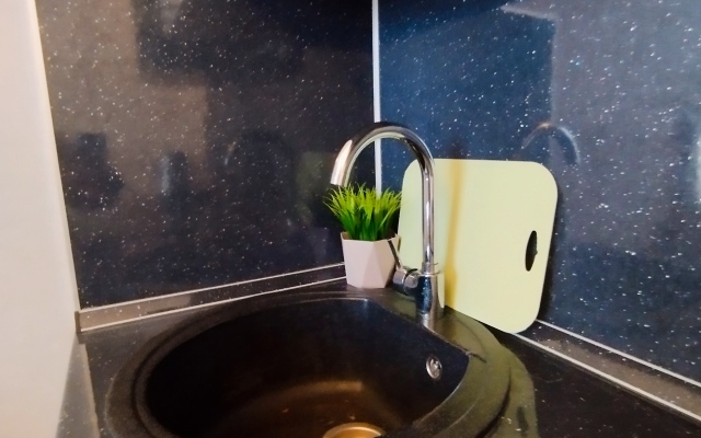 Апартаменты  Мятный уголок Уютная студия  с диваном у Ботанического сада