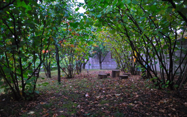 Kamar Guest house