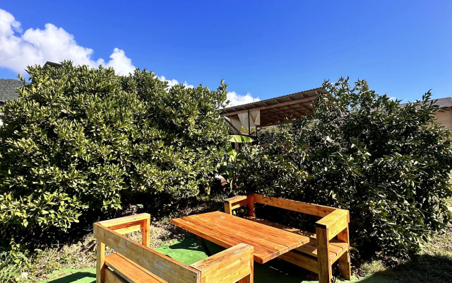 Leon Guest House