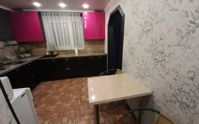 Апартаменты с 1 комнатой в центре города (Квартира51)