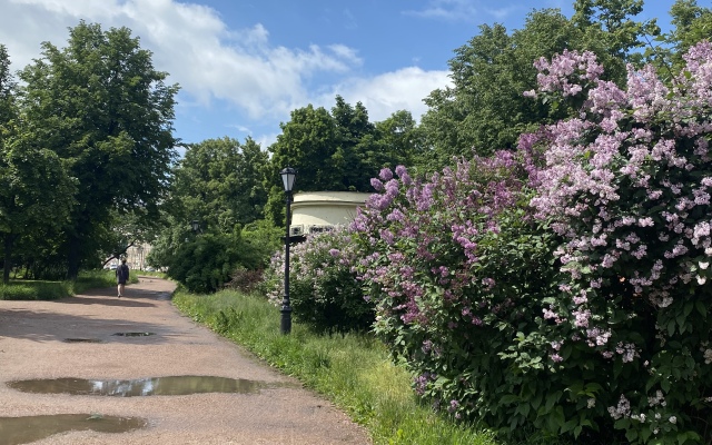 Мебелированные комнаты на Некрасова