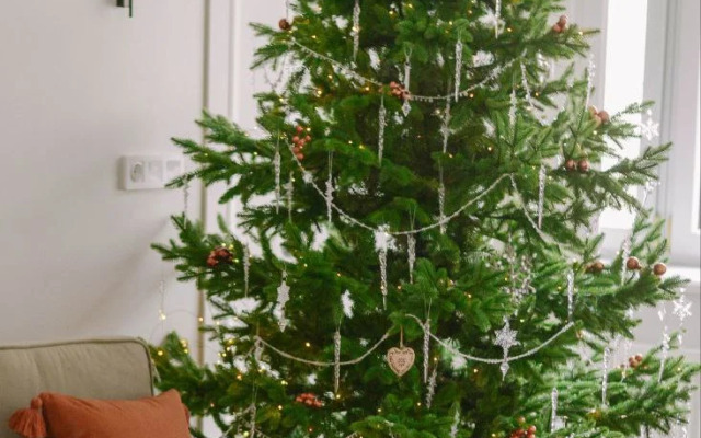 Апартаменты Aristocrat Grodno