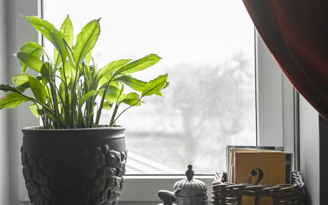 Travertin Piemont Apartments